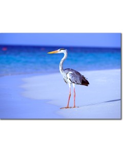 Heron in blue landscape poster