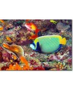 Canvas photo print