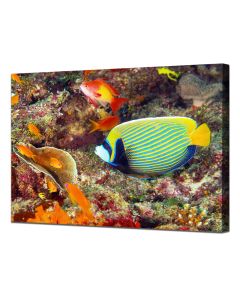 Canvas photo print