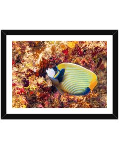 Framed photographic poster