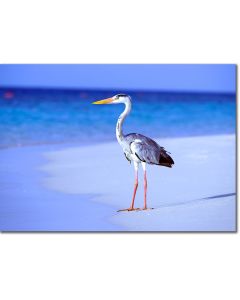 Heron in blue landscape poster